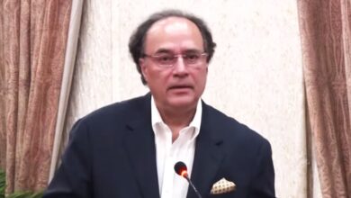 Govt committed to boost digital investment: FinMin Aurangzeb Govt committed to boost digital investment: FinMin Aurangzeb