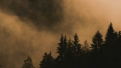 How to Minimize your Exposure to Wildfire Smoke How to Minimize your Exposure to Wildfire Smoke