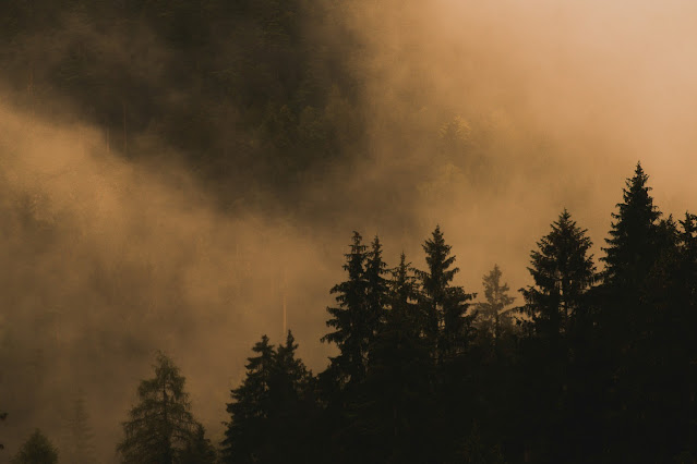 How to Minimize your Exposure to Wildfire Smoke