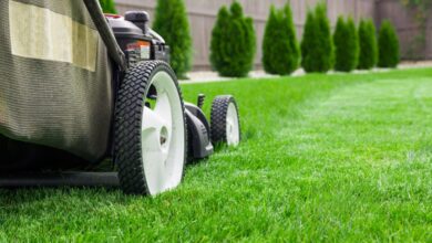 What You Should Know About Lawn Care Insurance What You Should Know About Lawn Care Insurance