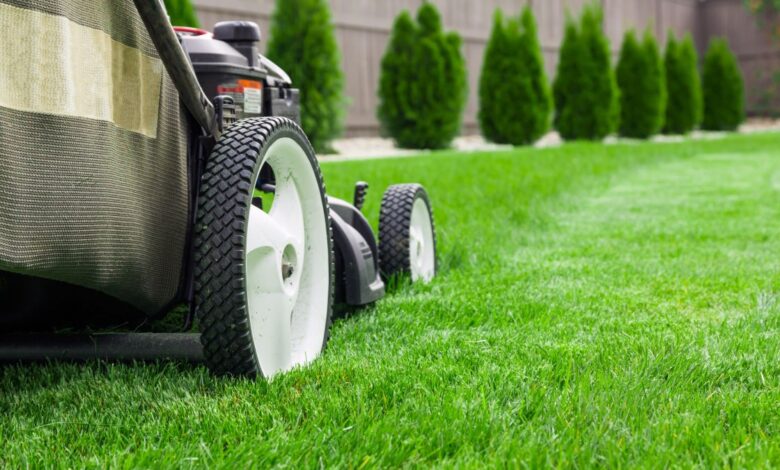 What You Should Know About Lawn Care Insurance