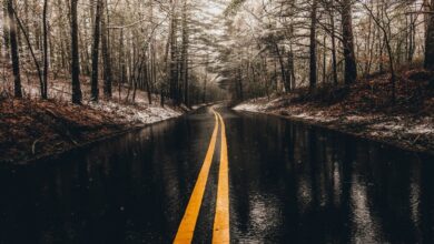 7 Safety Tips for Driving in Freezing Rain 7 Safety Tips for Driving in Freezing Rain